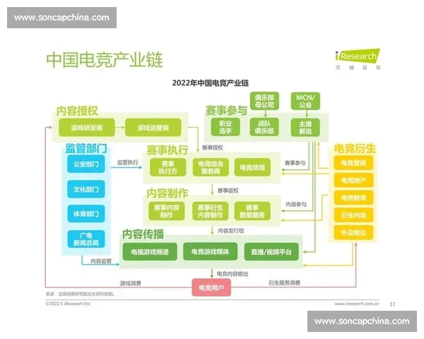 以电竞赛事数据平台驱动产业生态升级与商业价值释放新路径探索